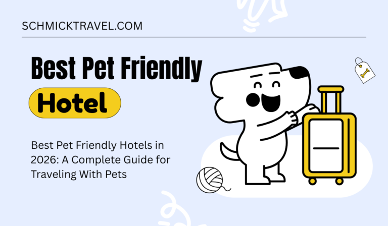 Best Pet Friendly Hotels
